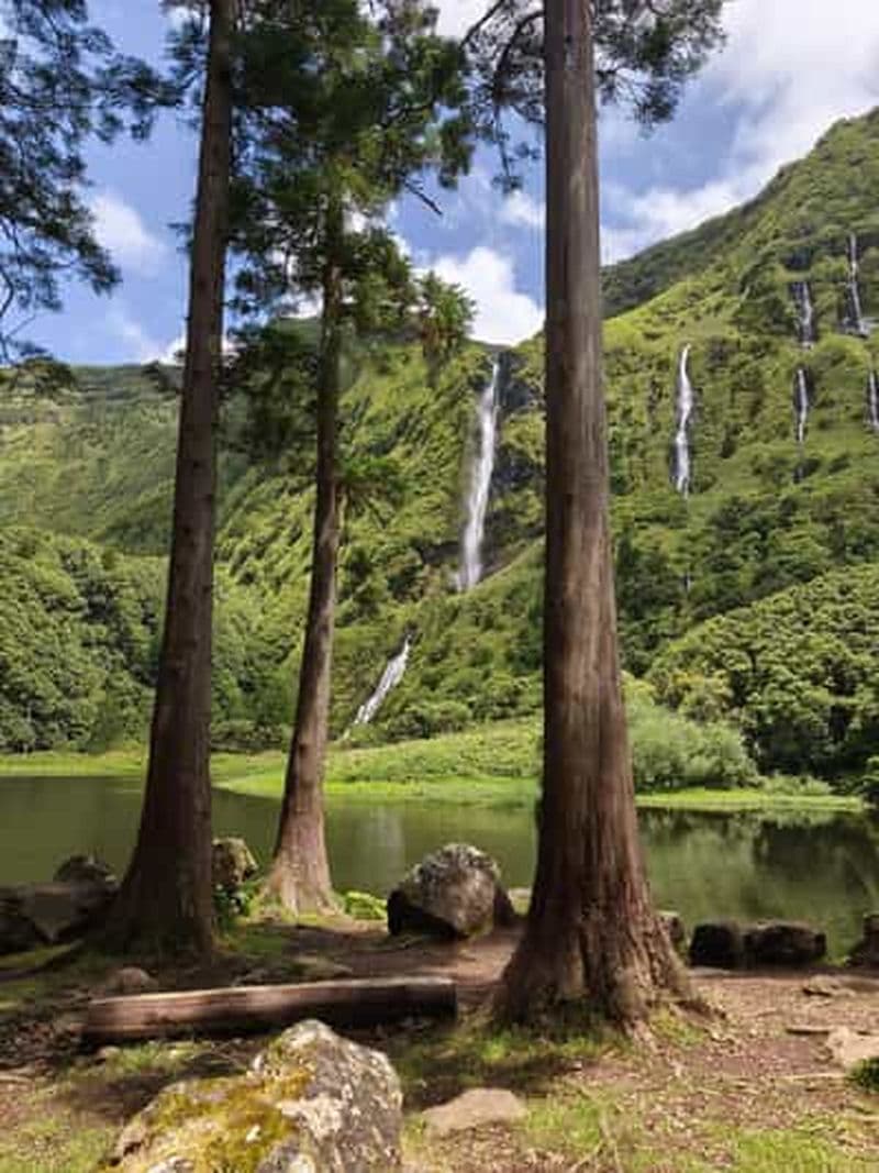 Billet Visite d'une jounée sur l'île de Flores