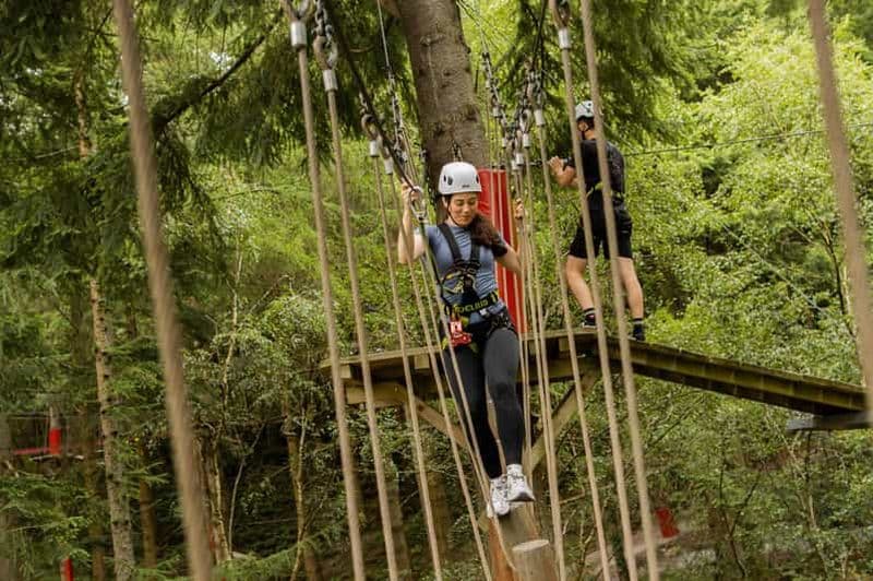 Billet Betws-y-Coed : billet adulte ou enfant pour le Zip Safari dans les arbres