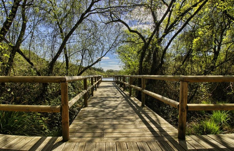 Billet Excursion au Parc National de Doñana et à El Rocío depuis Séville
