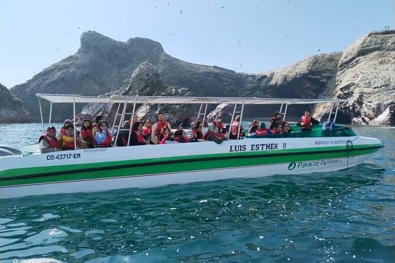 Billet Balade en bateau aux Îles Ballestas à Paracas