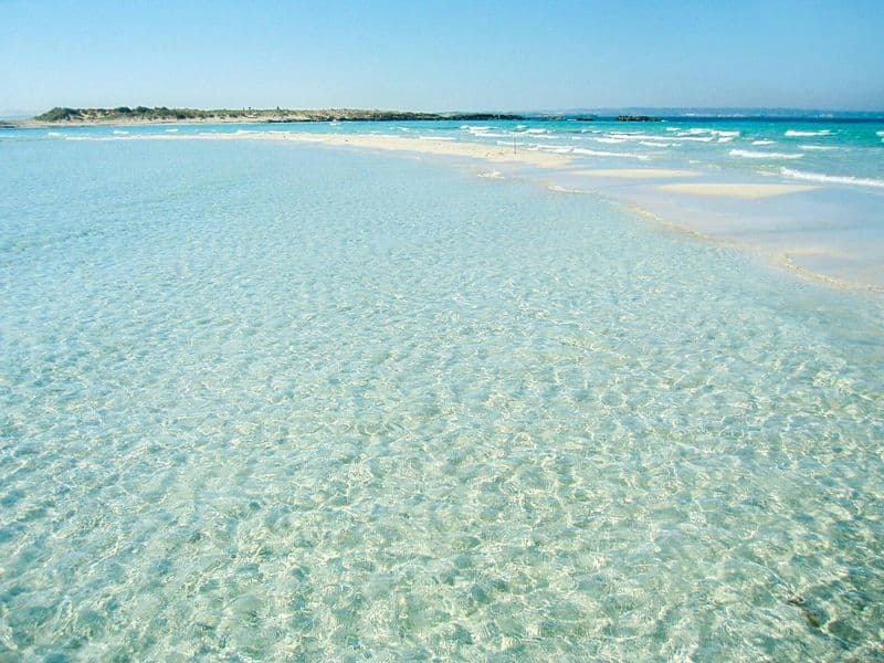 Billet Escursion à Espalmador point de rencontre avec le wit