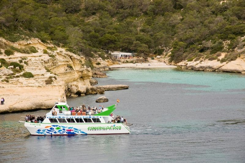 Billet Billet pour une croisière de deux heures en catamaran à bord du Dolphin avec Cruceros Costa Calvia