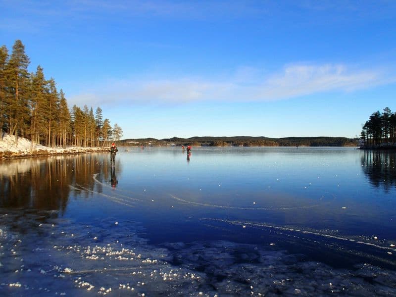 Billet Journée de patinage sur glace
