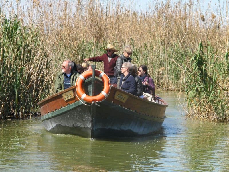 Billet Visite de 48 heures en bus touristique et Albufera à Valence