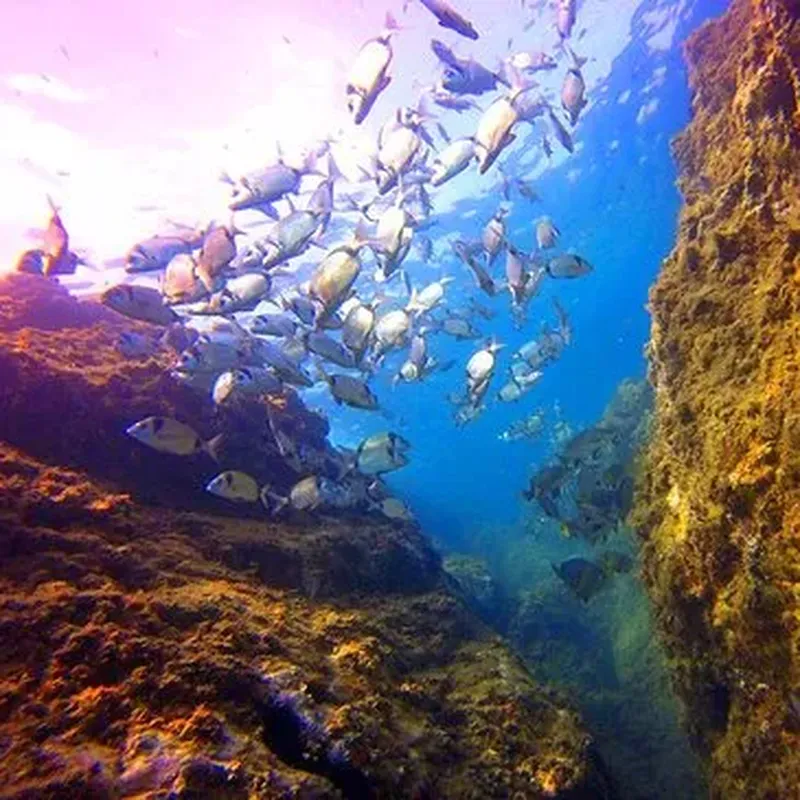 Billet Baptême de Plongée au Barcarès