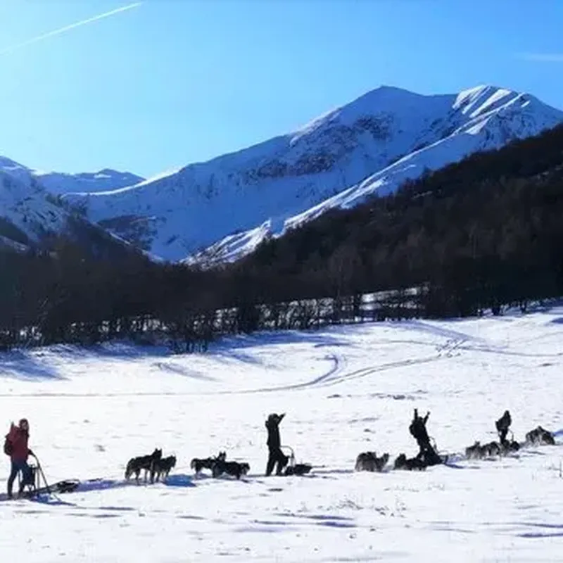 Billet Conduite d'un Attelage Chiens de Traineau à Saint-Sorlin-d'Arves