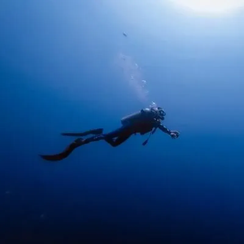 Billet Initiation à la plongée à Sisco