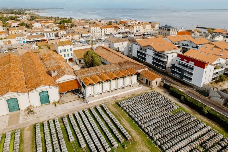 Billet Maison Noilly Prat : Visite historique guidée + dégustation de vin