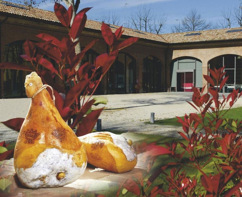Billet Musées de la gastronomie : Musée Prosciutto di Parma