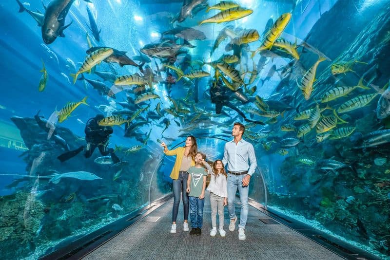 Billet Aquarium et zoo sous-marin de Dubaï : Gold Pass