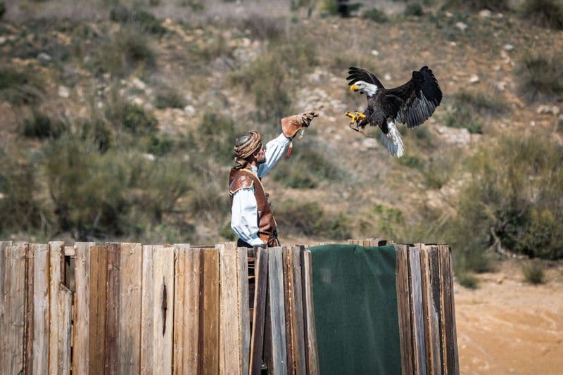 Billet Puy du Fou España : Transport aller-retour depuis Tolède