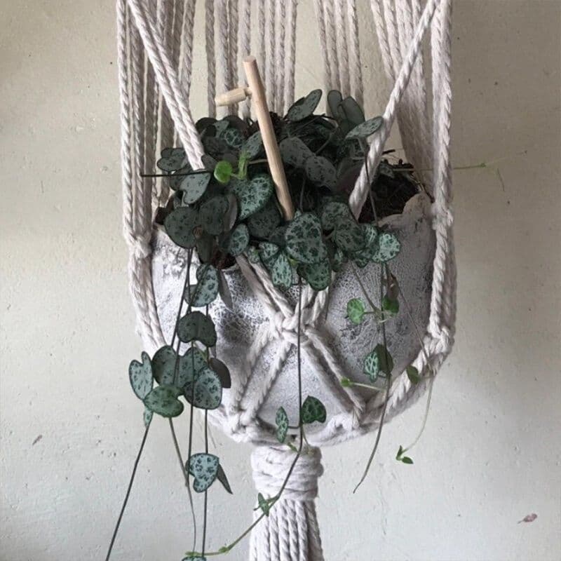 Billet Modelez votre suspension pour plantes