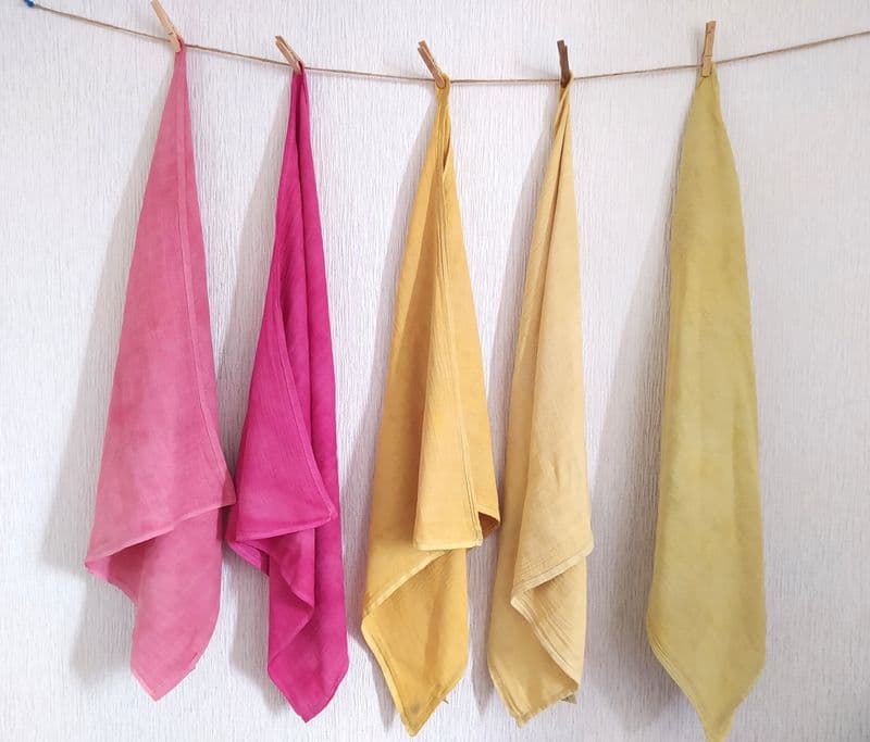 Billet Inititiez-vous à la teinture végétale