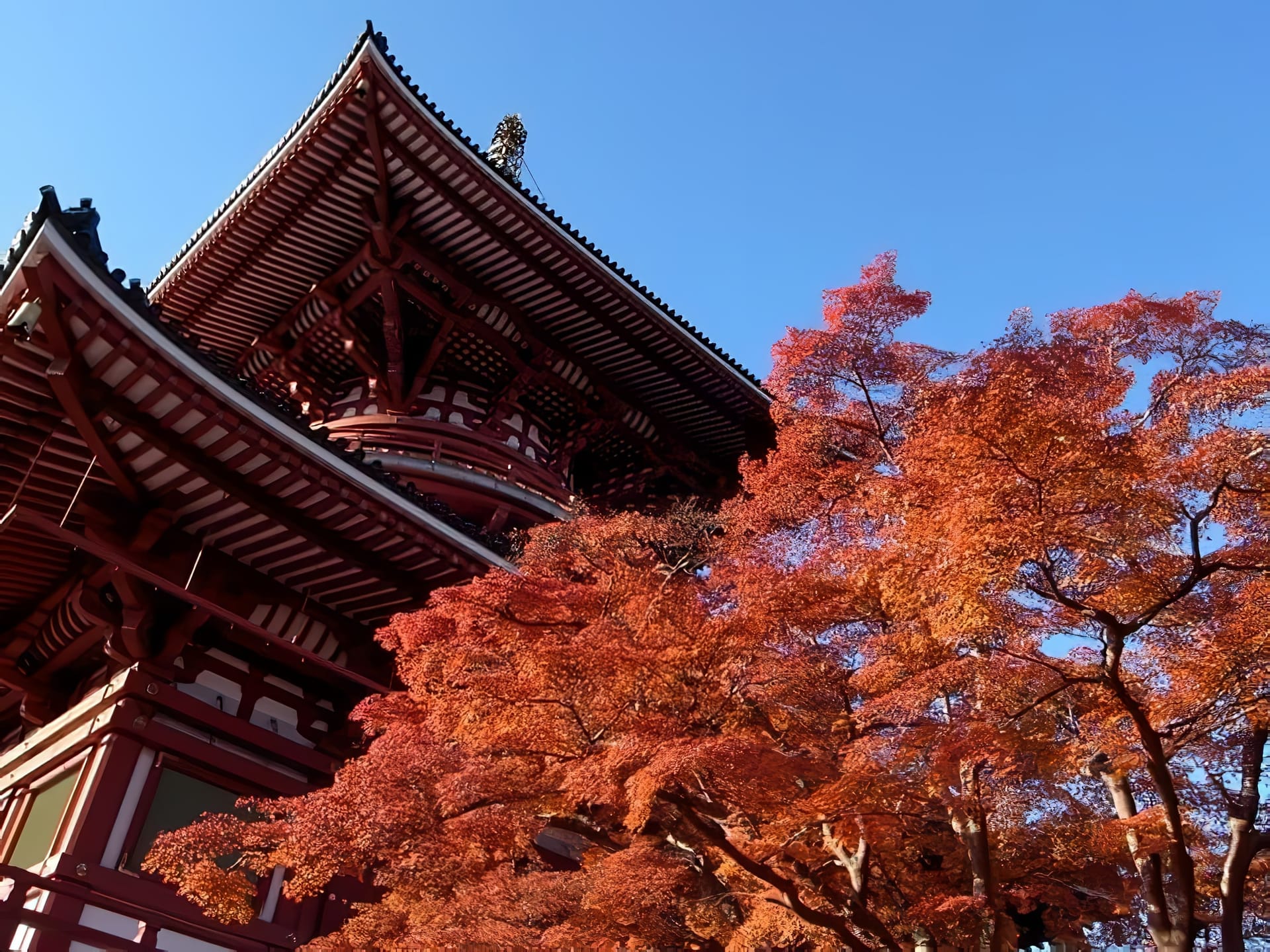 Japon - Attraction la plus populaire