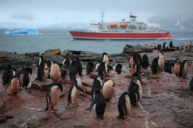 Antarctique : les meilleures activités à faire