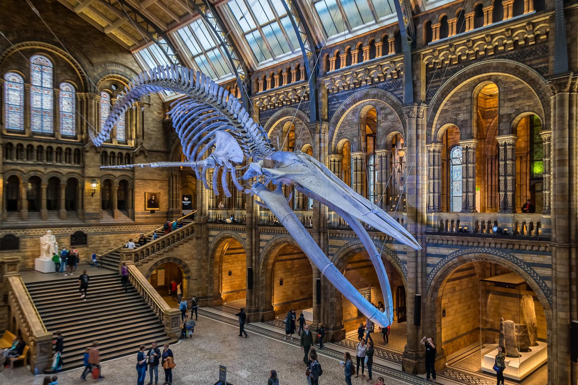 Musée d’histoire naturelle de Londres