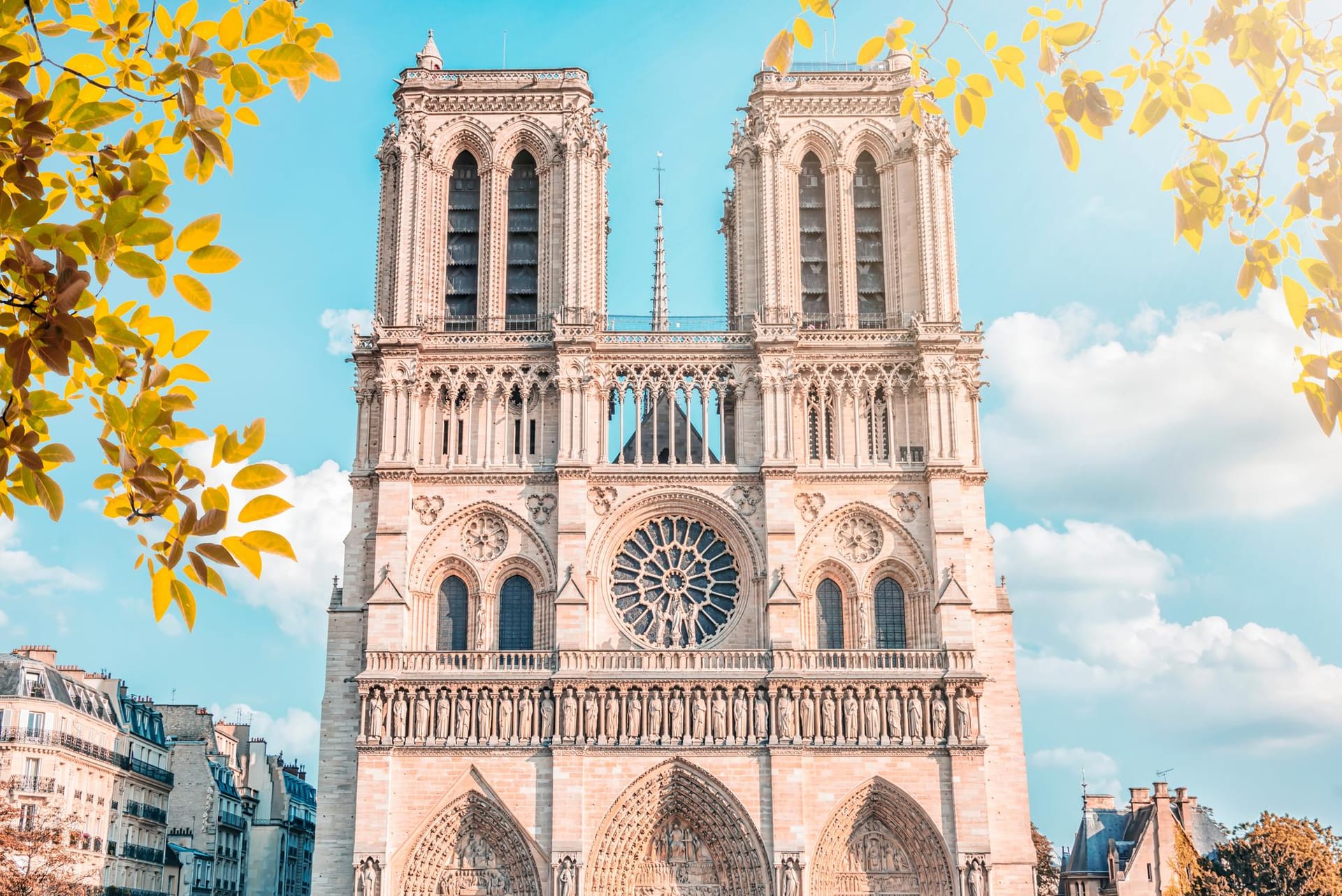 Cathédrale Notre-Dame de Paris