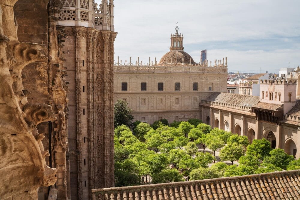 Le Patio des Orangers - Cathédrale de Séville