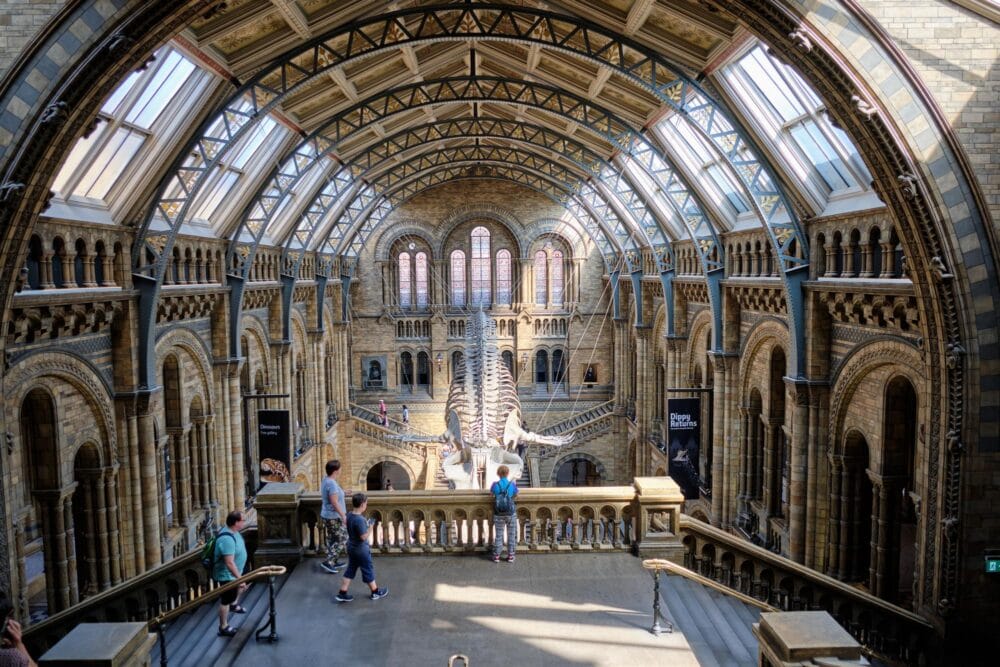 Musée d’histoire naturelle de Londres