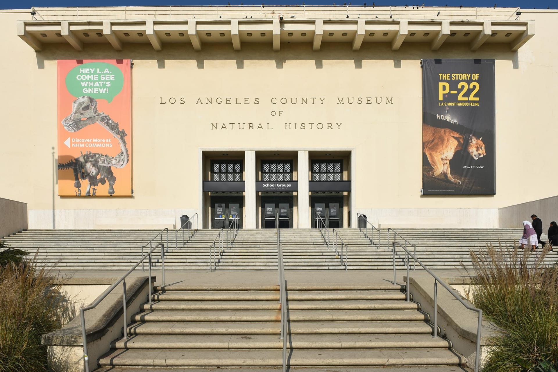 Musée d&rsquo;histoire naturelle de Los Angeles
