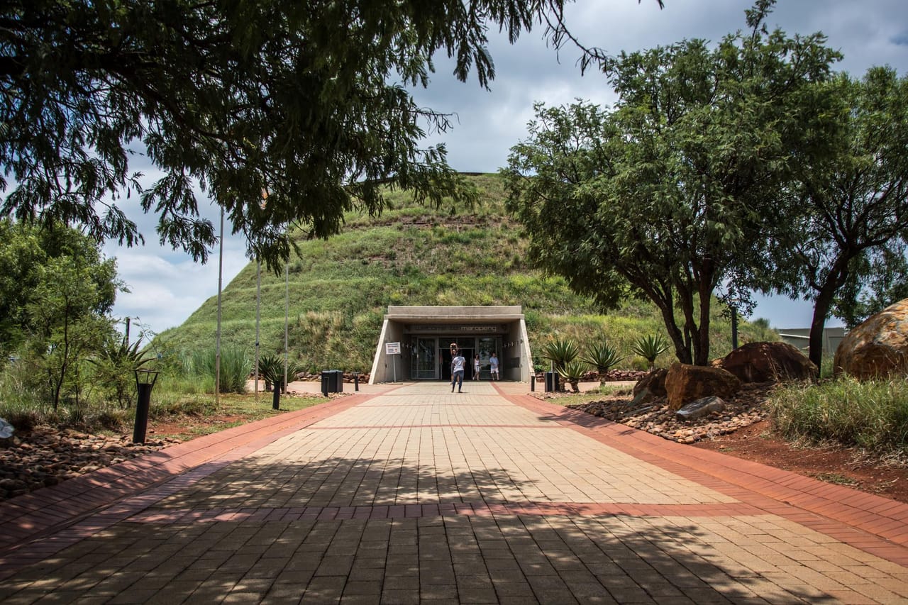 Visiter le Cradle of Humankind à Johannesburg : billets, prix, horaires