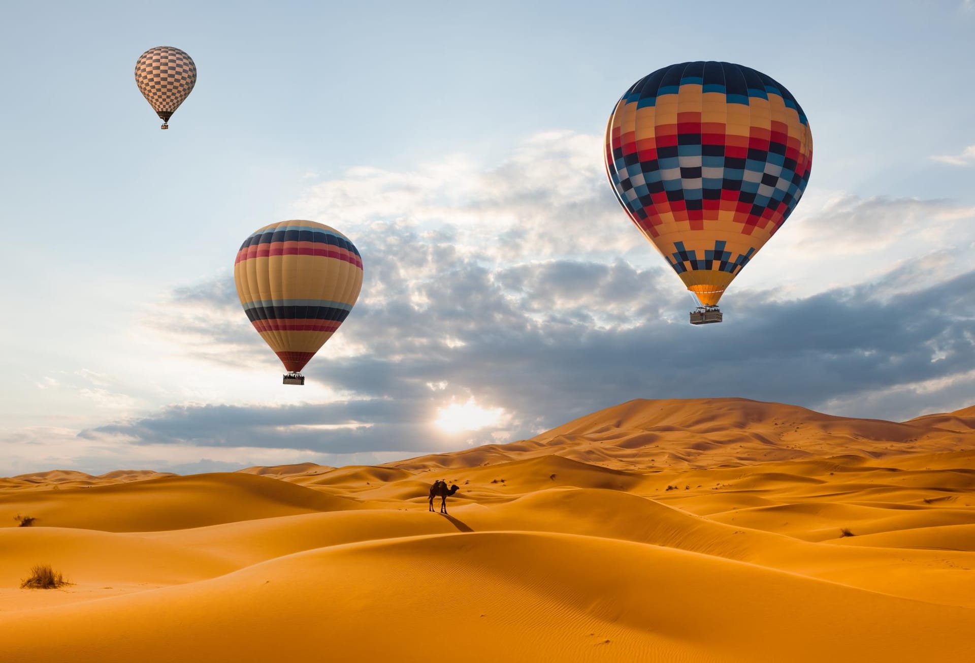 Émirat de Dubaï : les meilleures activités à faire dans la région