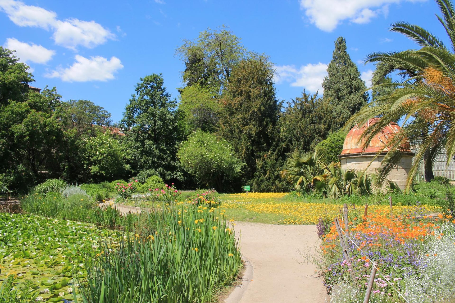 Jardin des Plantes de Montpellier