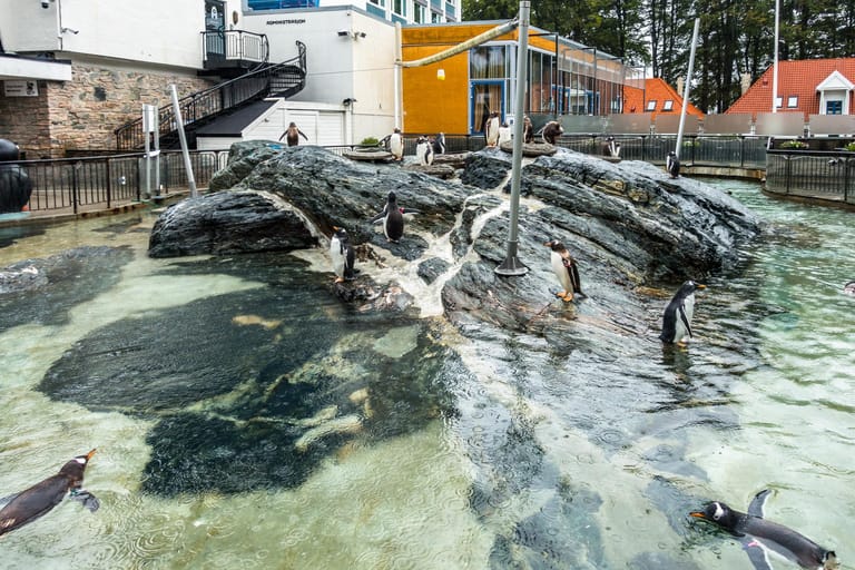 Visiter l'Aquarium de Bergen à Bergen : billets, prix, horaires