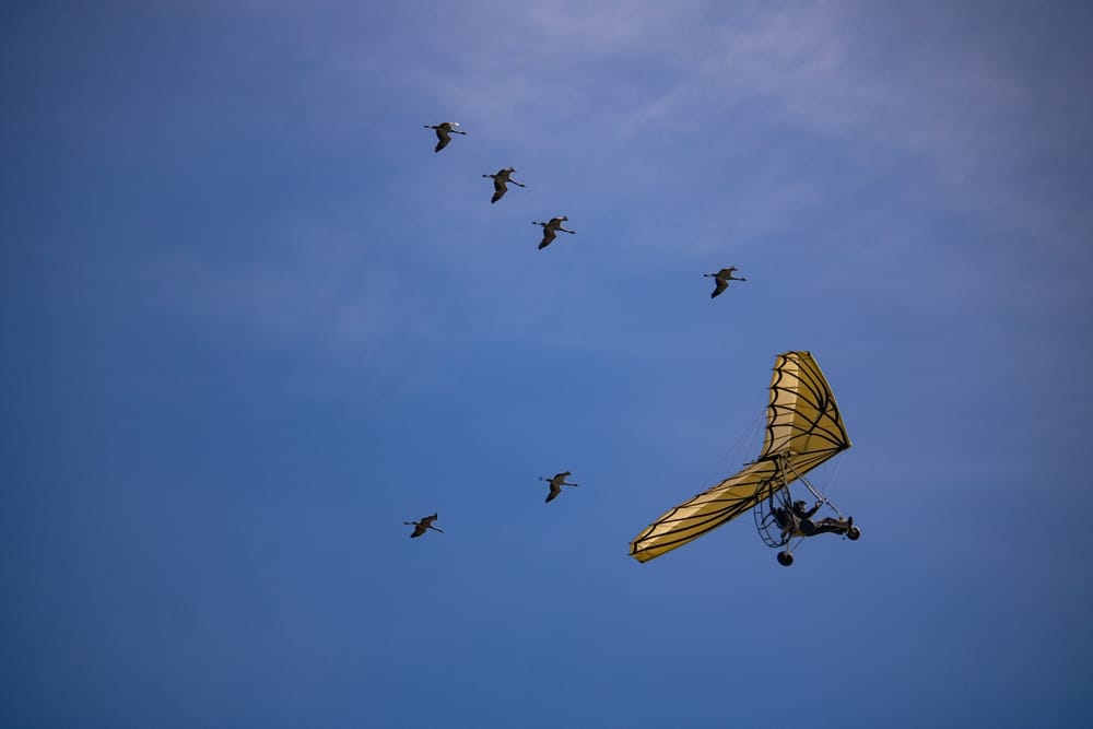 Survoler les cirques en ULM