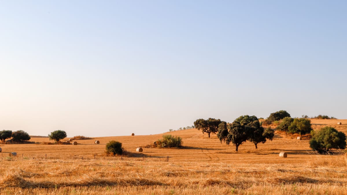 Alentejo : les meilleures activités à faire dans la région
