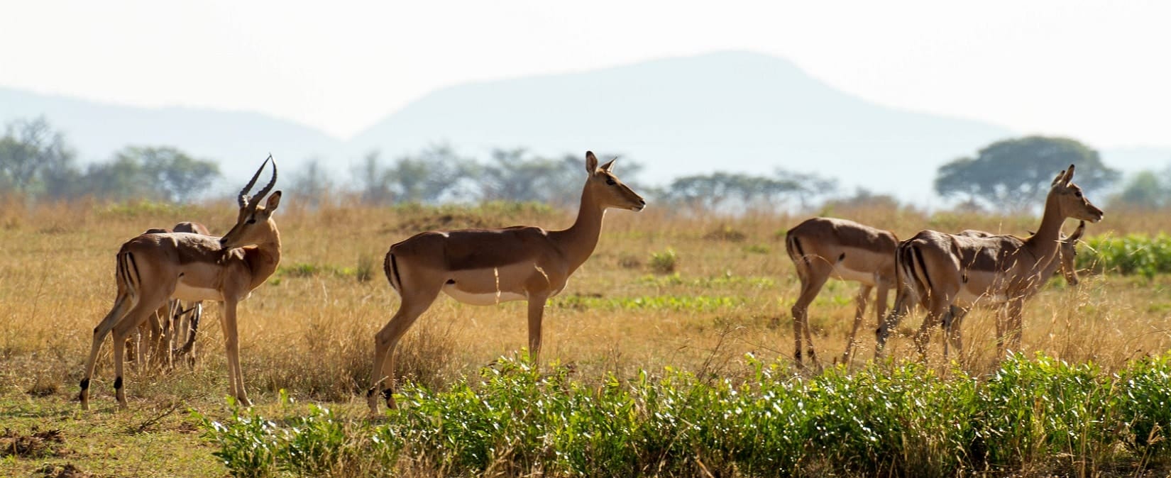 Afrique du Sud : les meilleures activités à faire