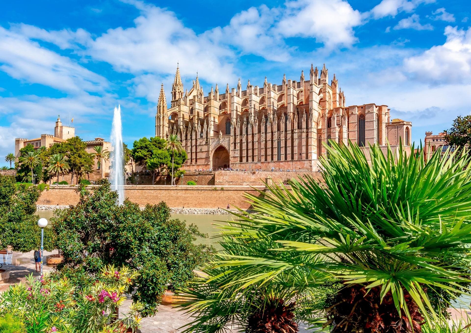 Palma de Majorque : les meilleures activités