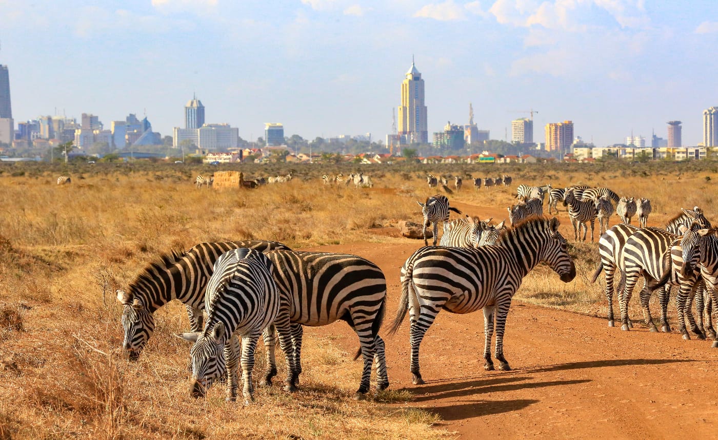 Nairobi : les meilleures activités