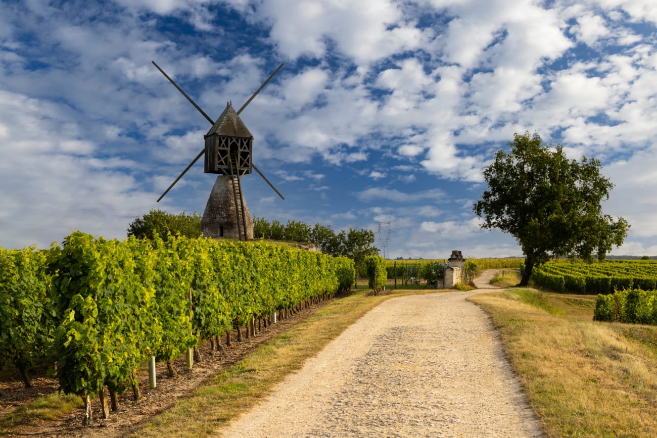 Pays de la Loire : les meilleures activités à faire dans la région