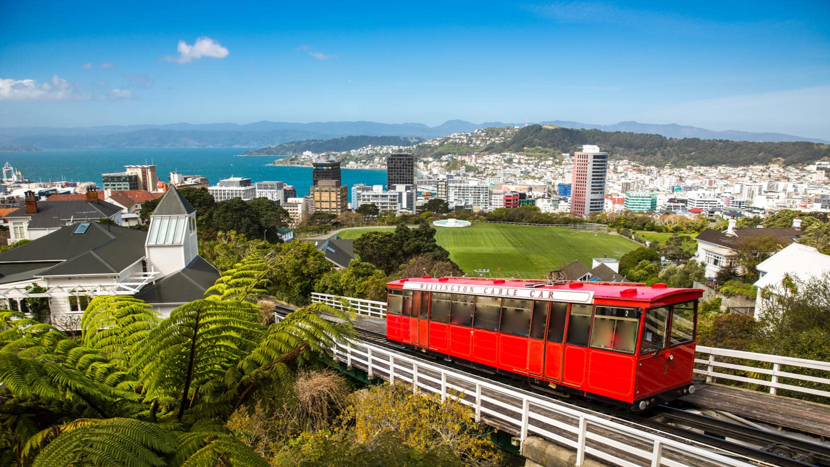 Wellington : les meilleures activités