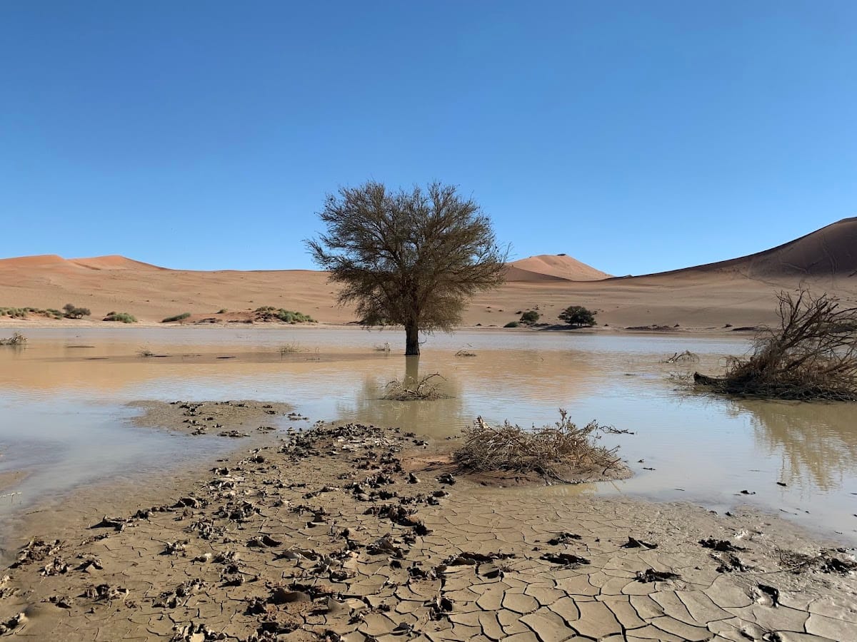 Sossusvlei