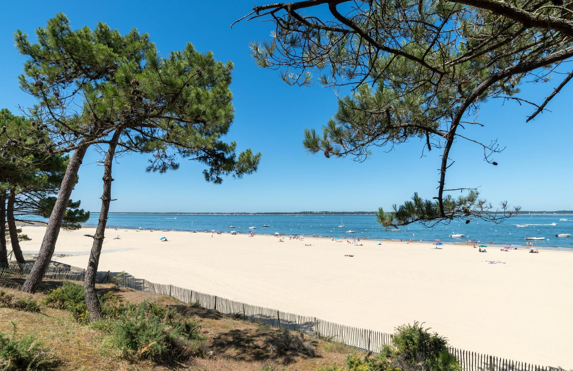 Bassin d'Arcachon