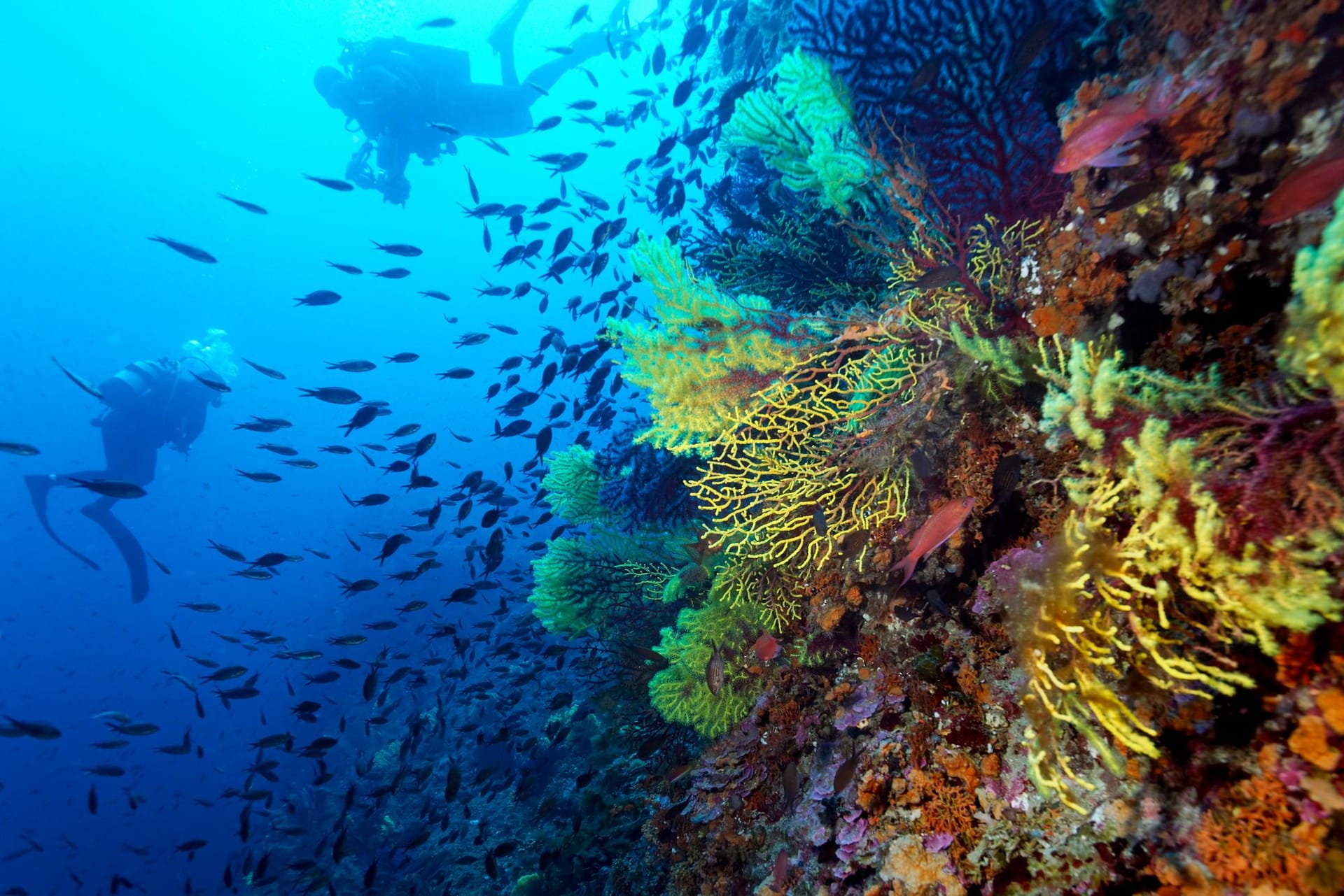 Île de Lastovo : les meilleures activités