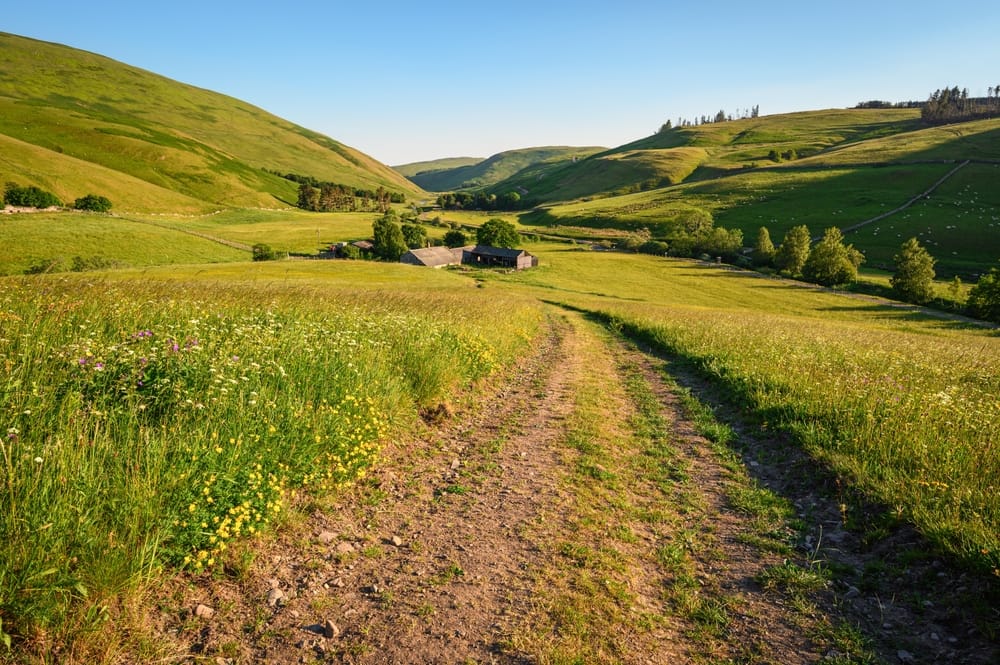 Northumberland : les meilleures activités