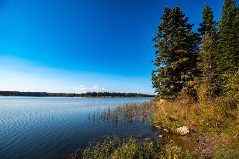 Parc national du Prince Albert : les meilleures activités