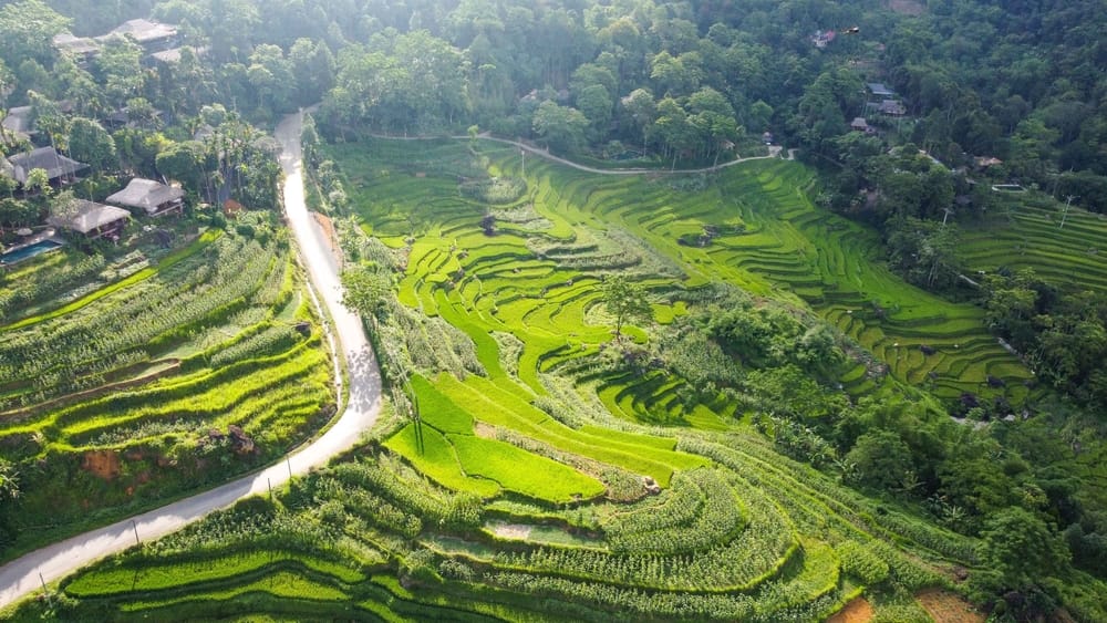 Pu Luong : les meilleures activités