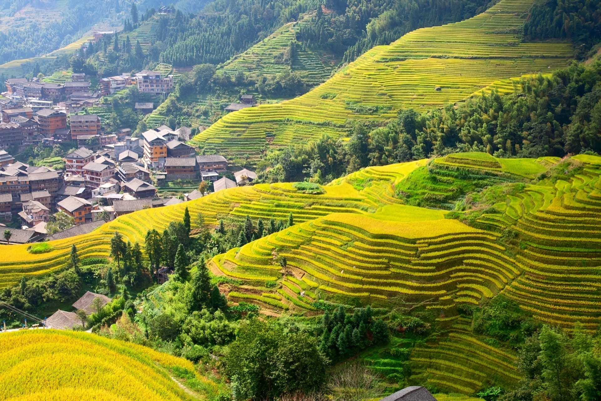 Rizières en terrasse de Longji : les meilleures activités
