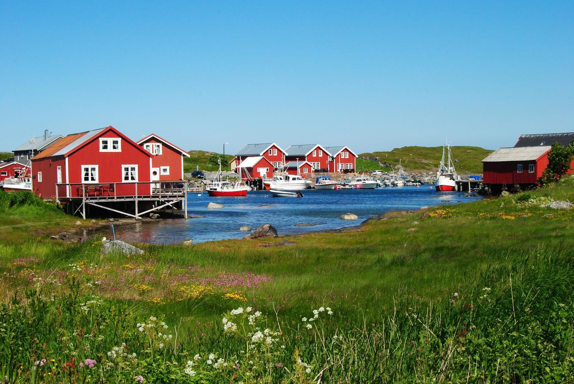 Vega : les meilleures activités