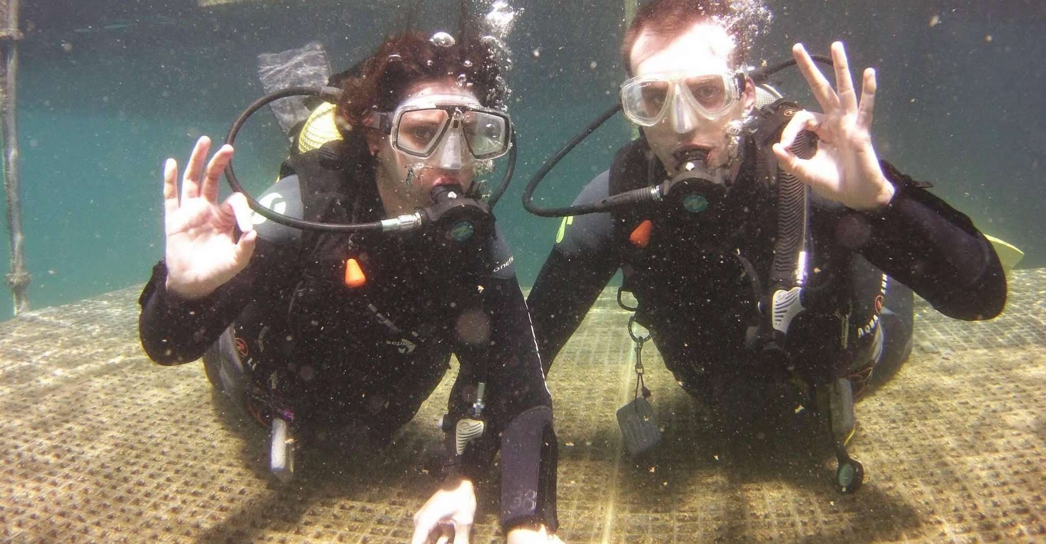 Plonger dans les eaux de l'Atlantique