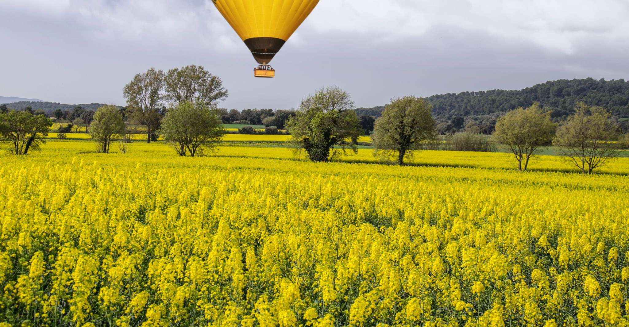 S'envoler en montgolfière et admirer le paysage depuis le ciel