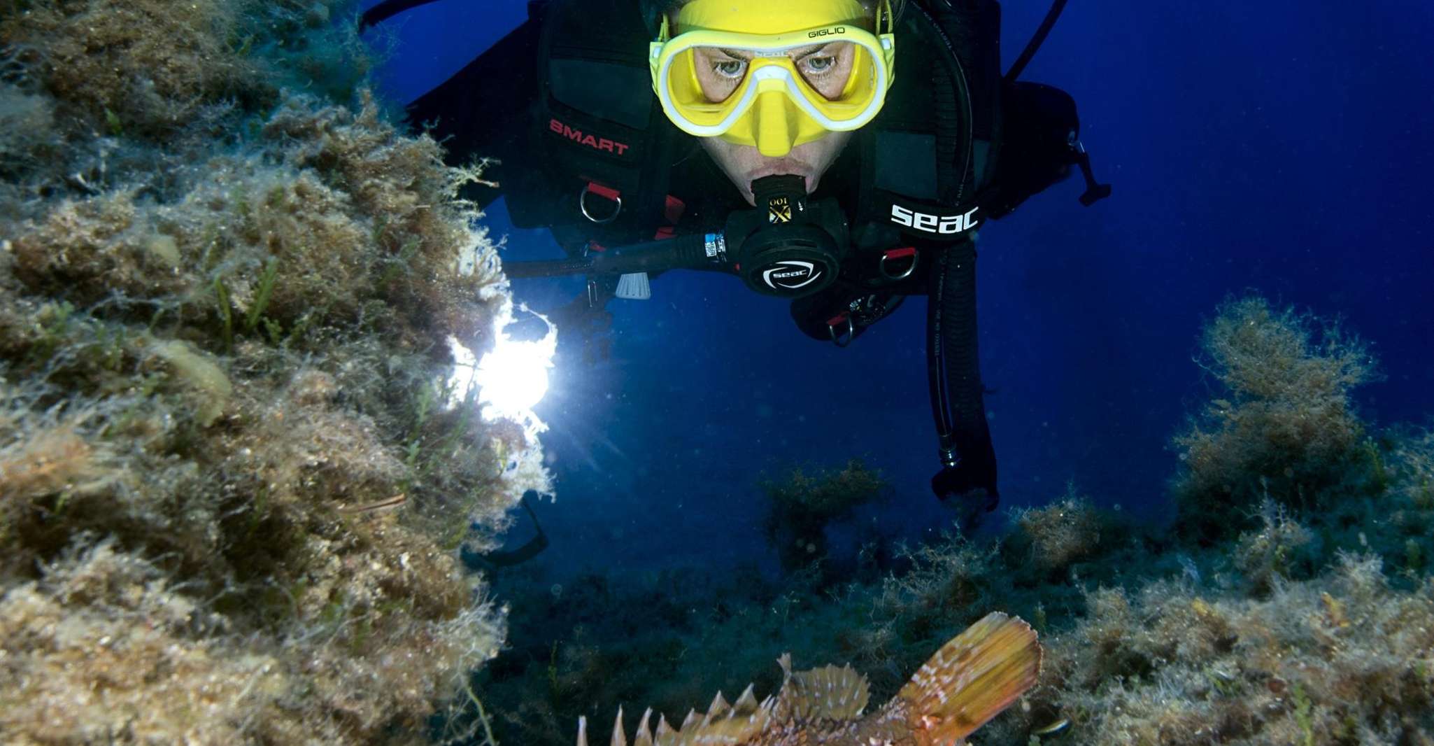 Plonger dans les eaux du golfe ligure