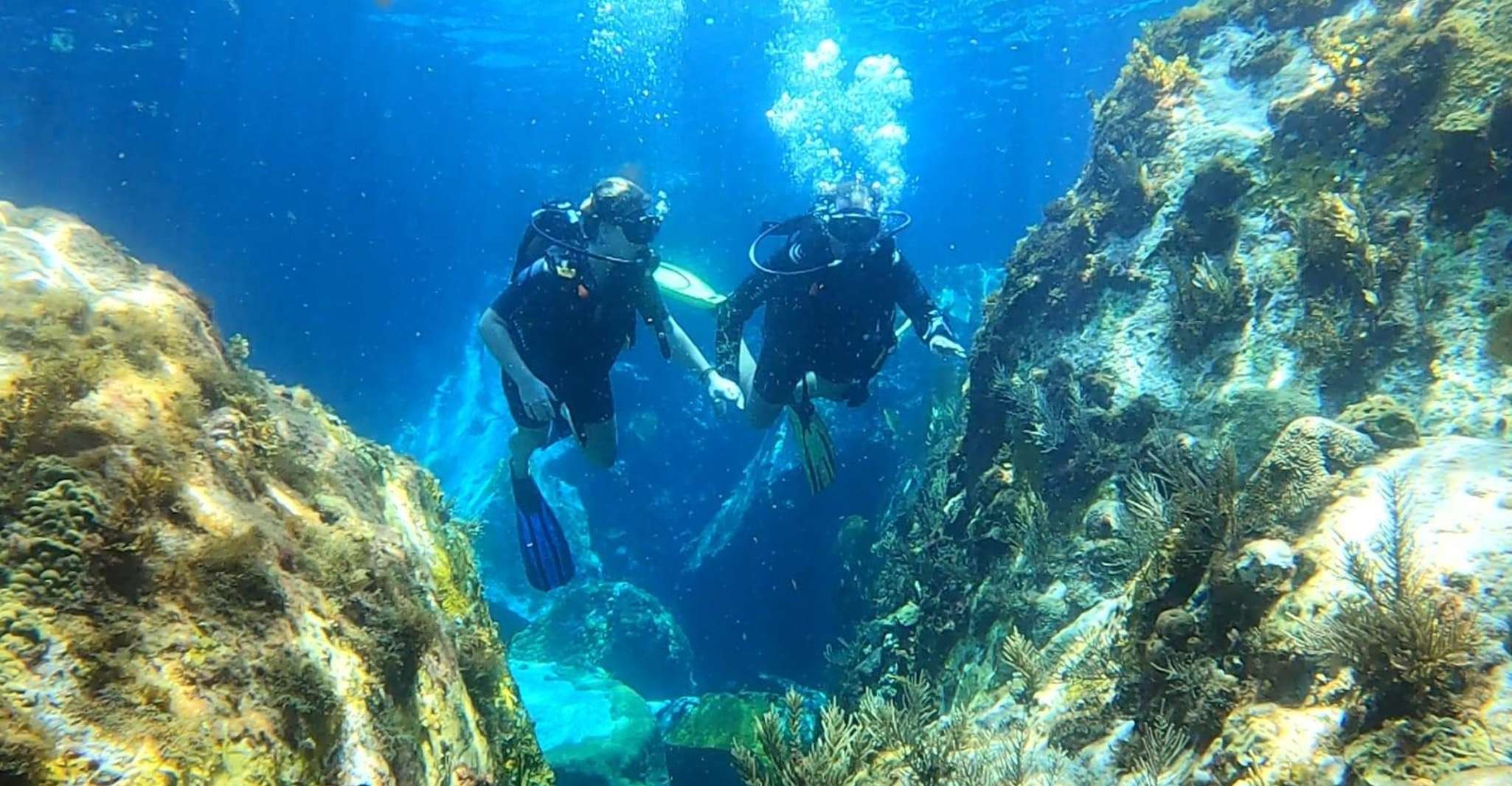 Plonger sur les épaves des fonds marins