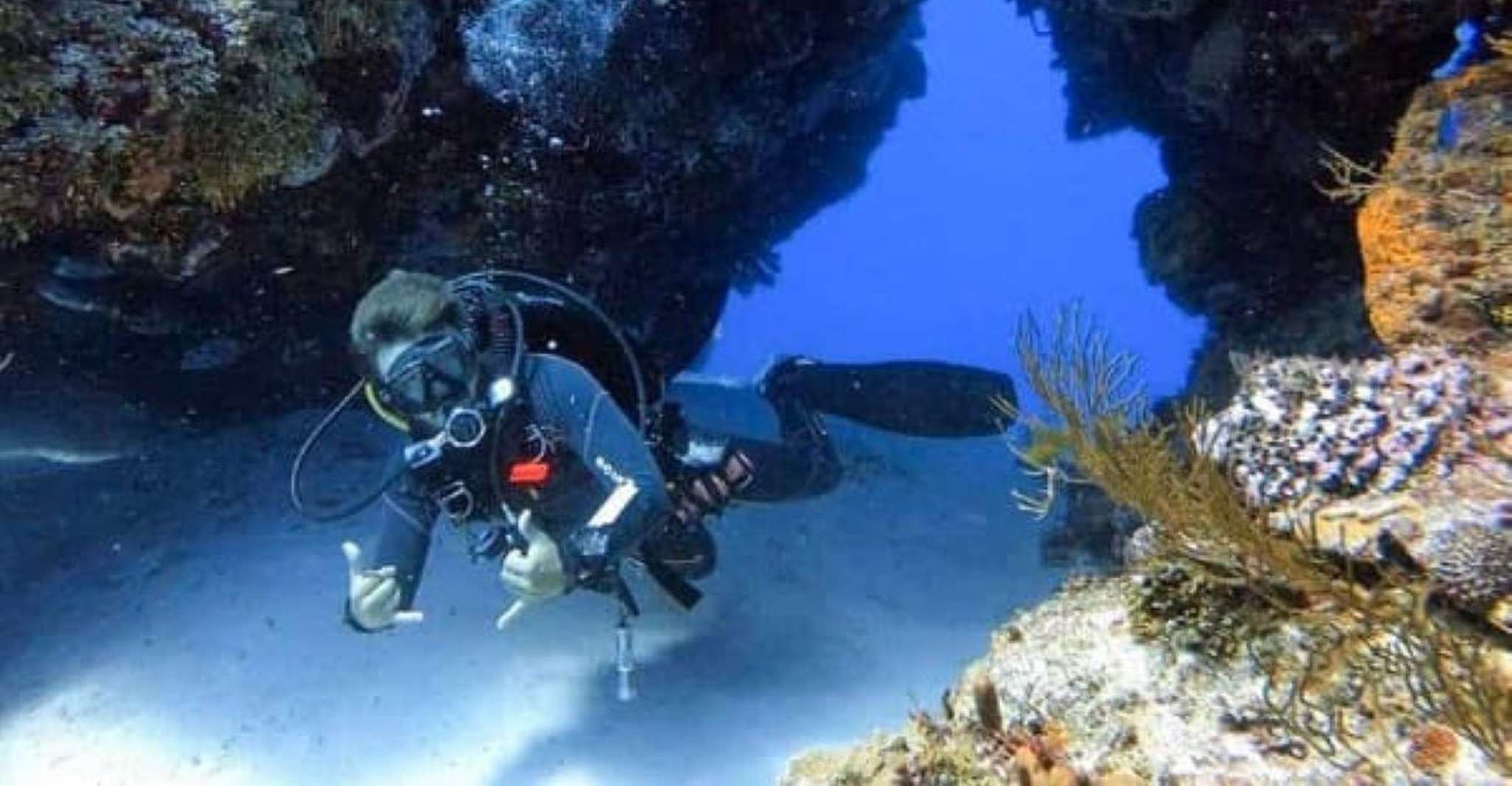 Plonger dans les profondeurs et explorer les fonds marins