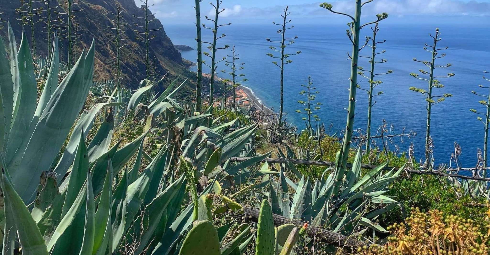 Longer les levadas à travers les laurisilves