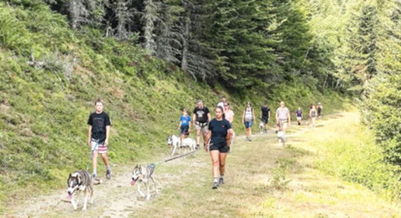 Billet Cani-cross ou cani-trail à Val d'Azun dans les Pyrénées